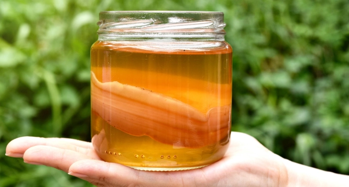 best women's probiotic drink