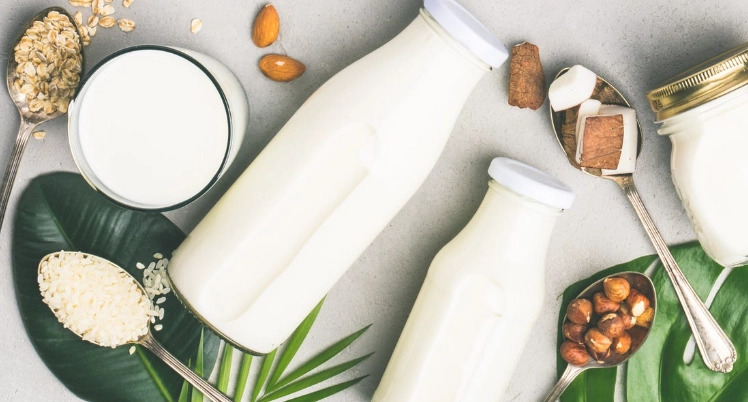 dairy-free milk alternatives