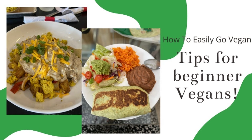 vegan protein sources