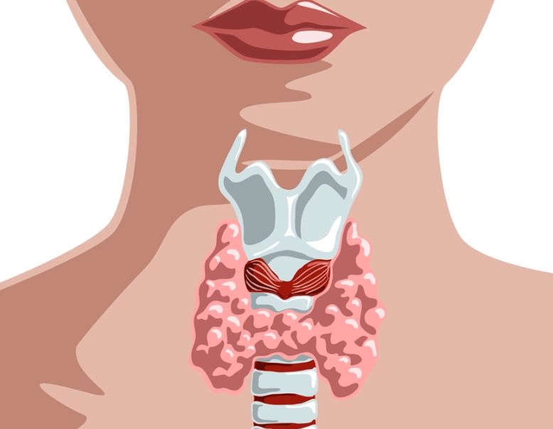 women's thyroid health