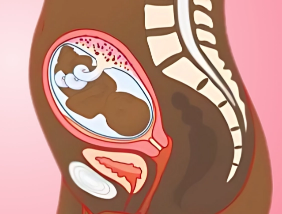 pregnancy tips week by week