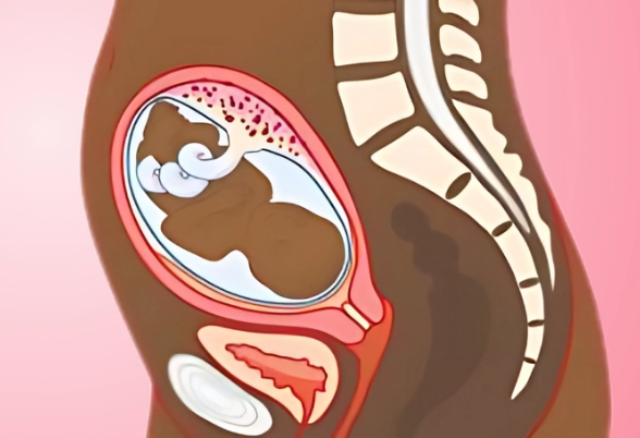 pregnancy tips week by week