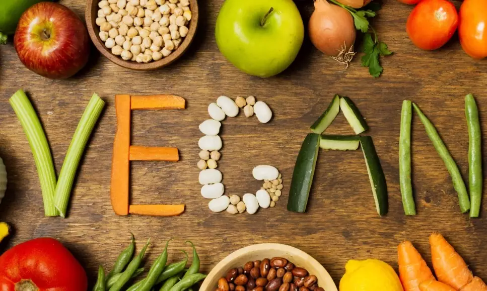 plant based diet tips