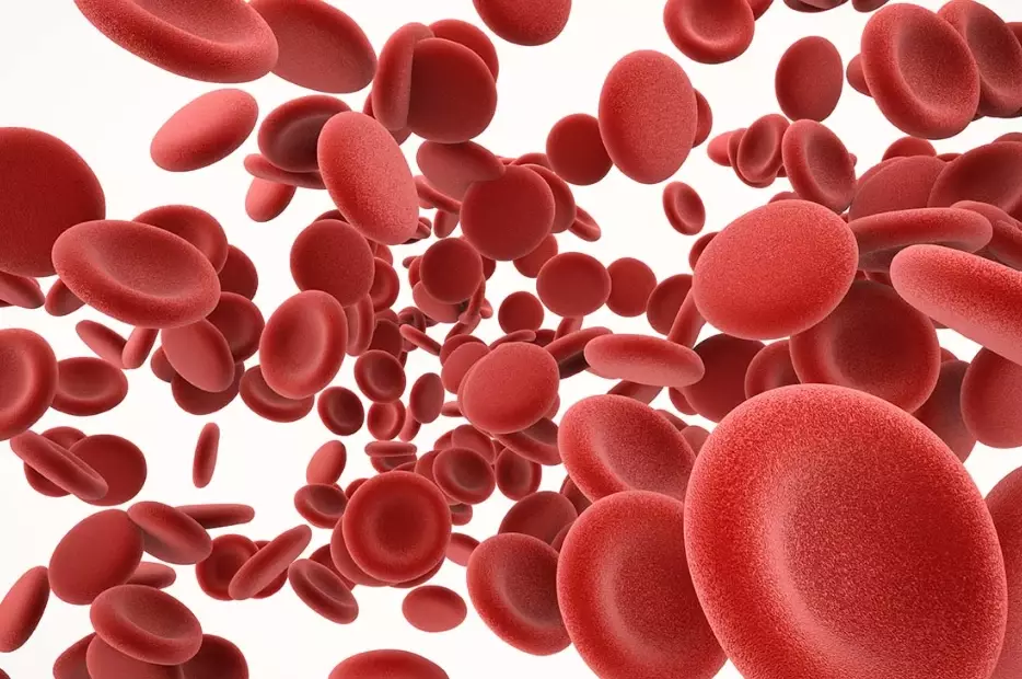 iron rich foods for women