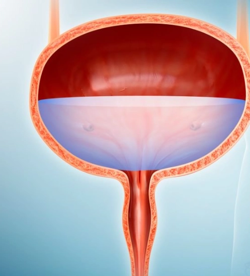 improve bladder control