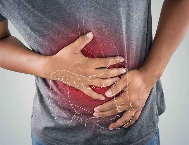 hormones and digestion