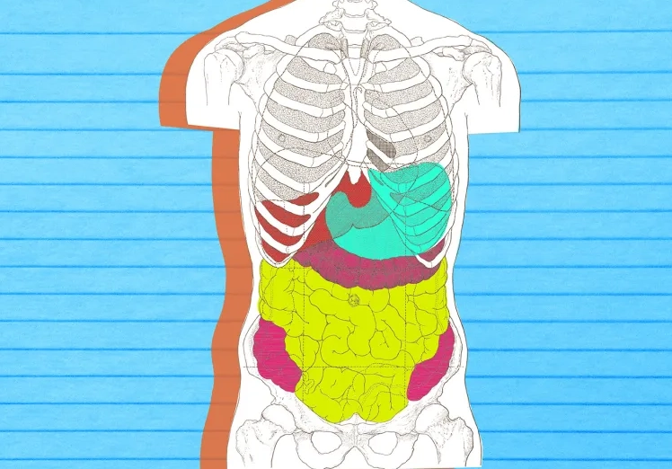 women's digestive health