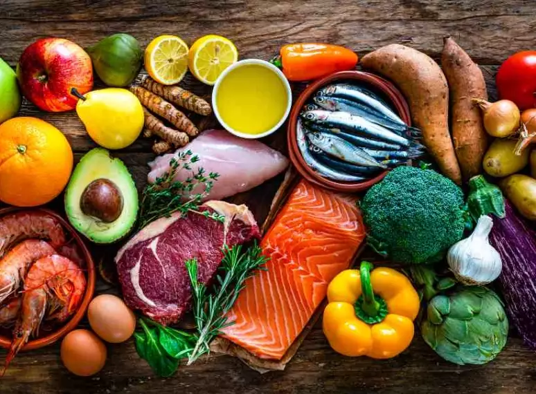 women's paleo meal plan