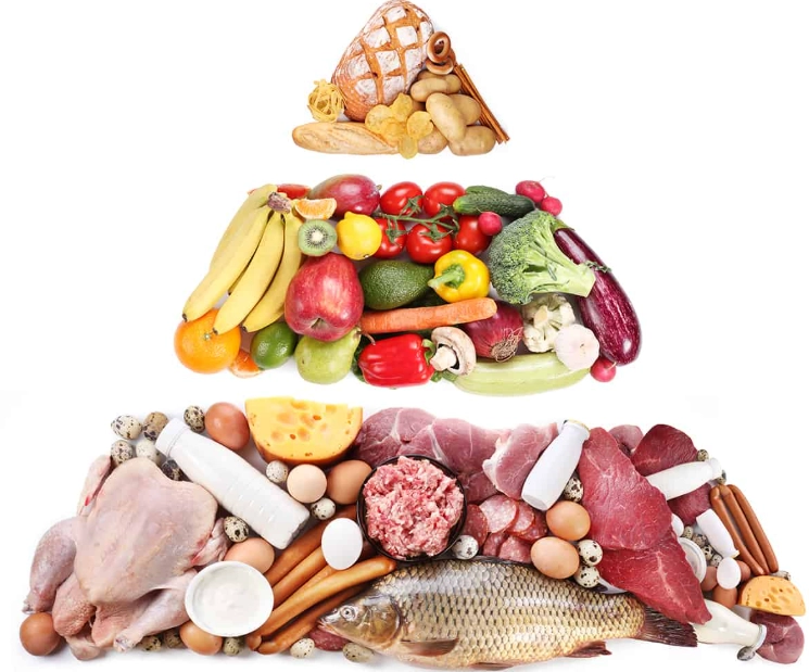 low carb diet for women