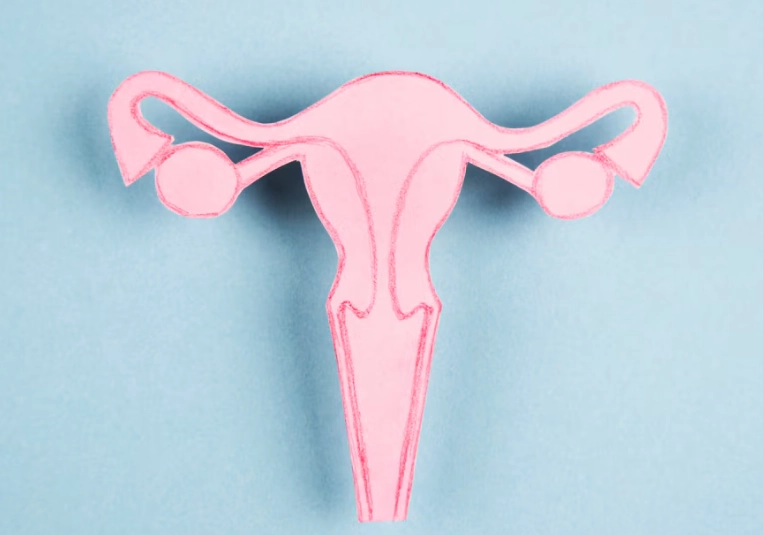 endometriosis diagnosis endometriosis diagnosis