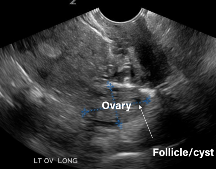 women's health maintenance