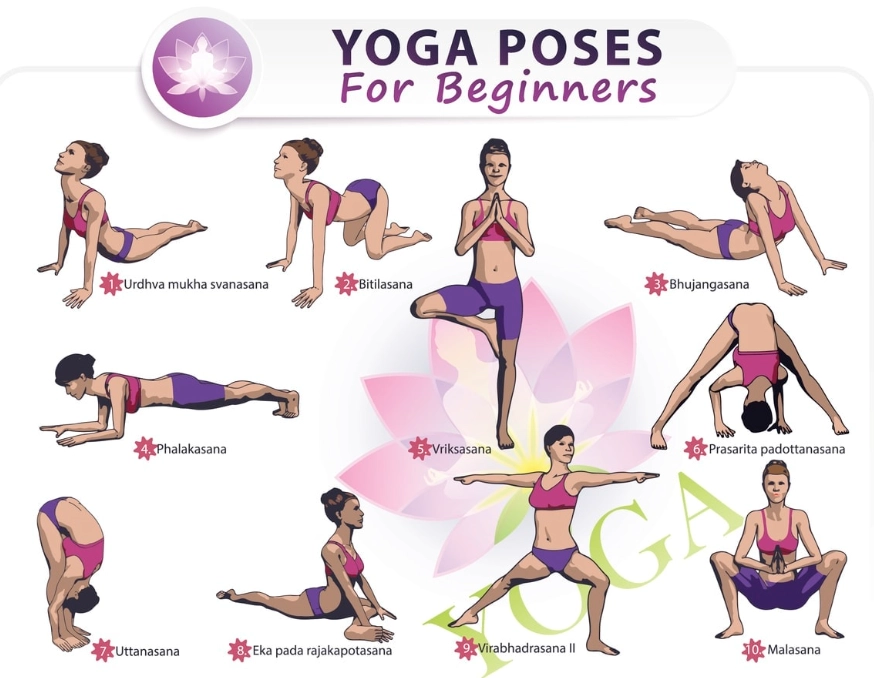 Beginner yoga for women
