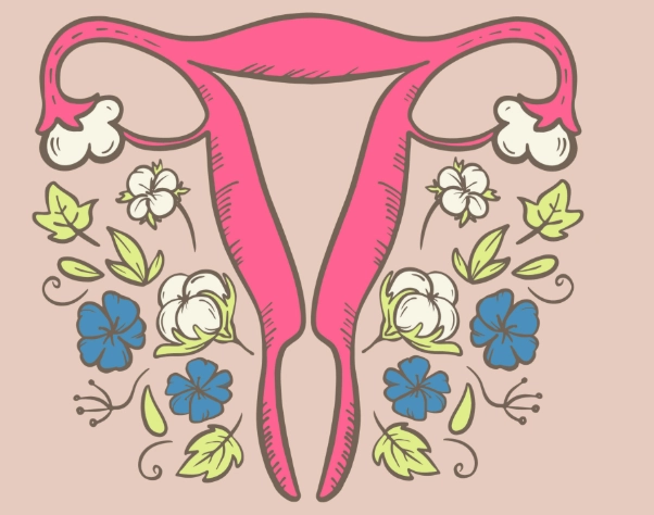 female wellness pillars female wellness pillars