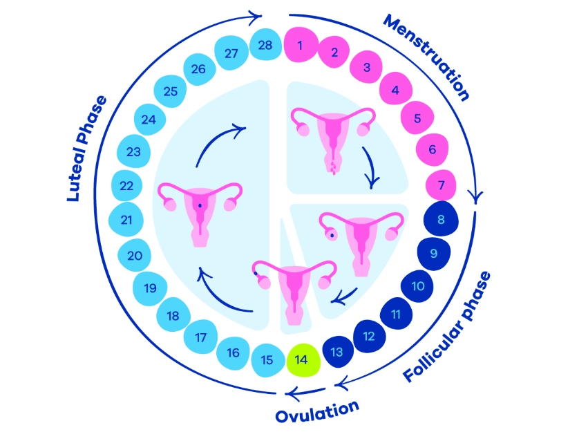 cycle tracking methods