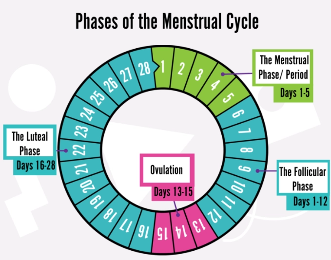 cycle tracking methods