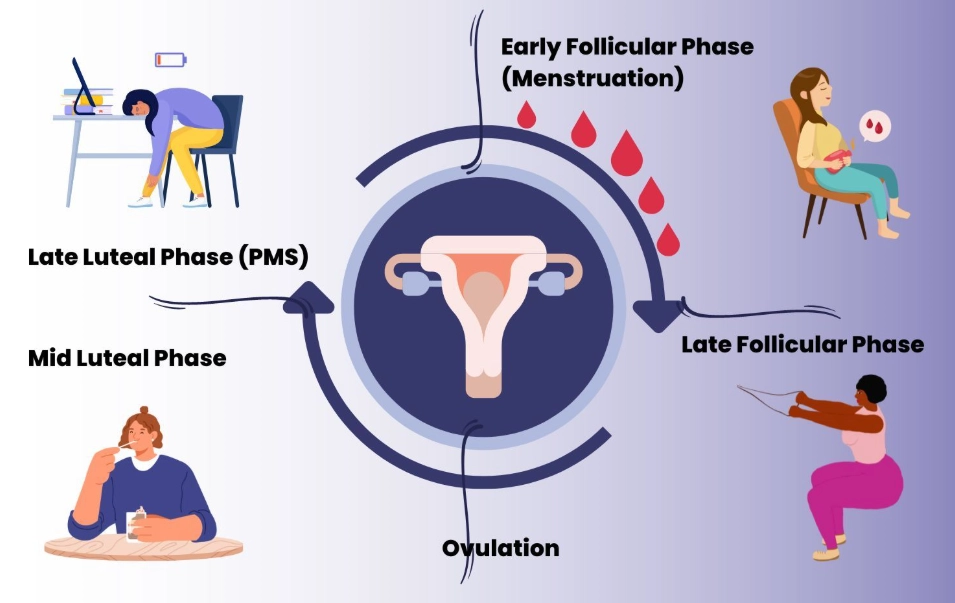 how to track ovulation