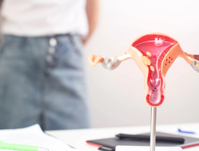 how to track ovulation