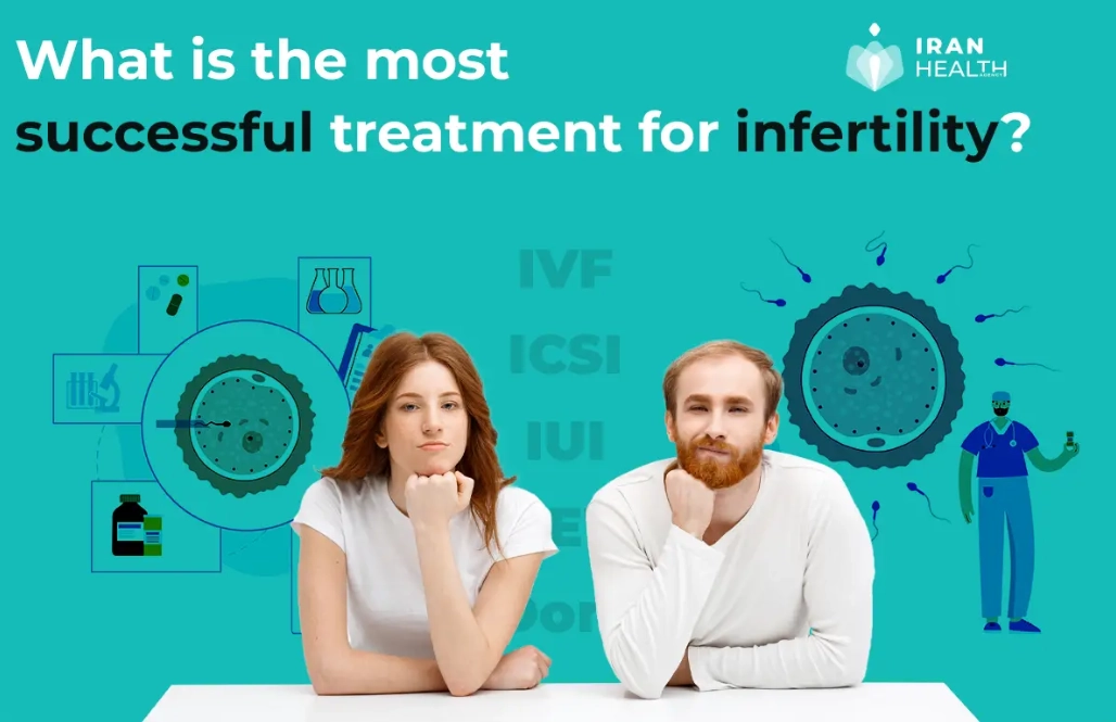 IVF success rates