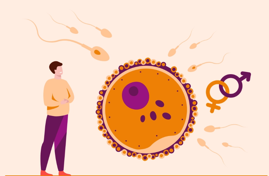 cure for male infertility cure for male infertility