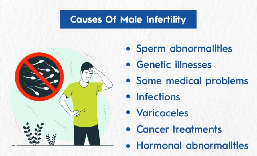 Can infertility be cured male
