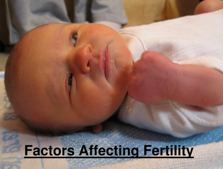 improve fertility improve fertility