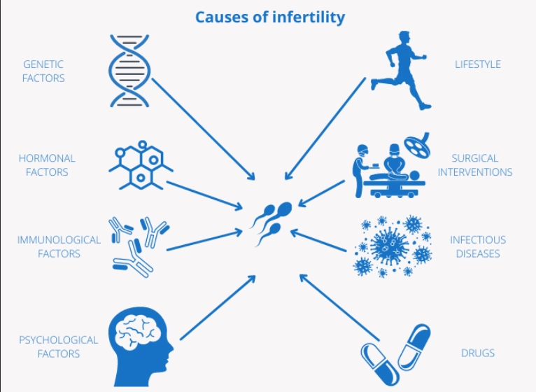 Infertility causes