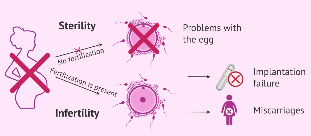 improving female fertility naturally
