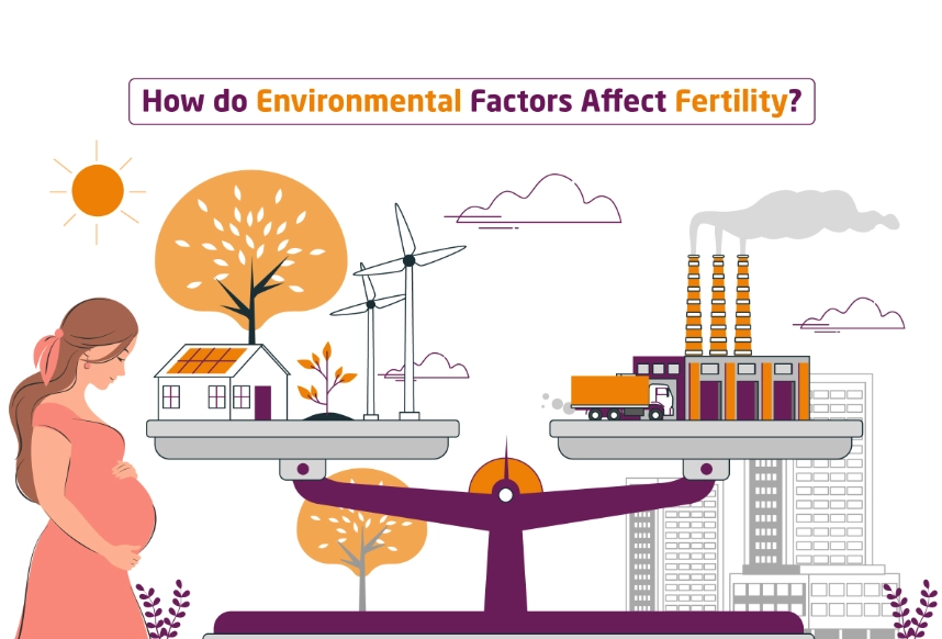 improve fertility improve fertility