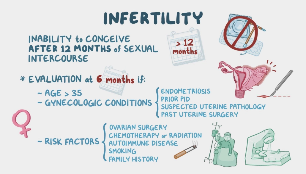 male infertility male infertility