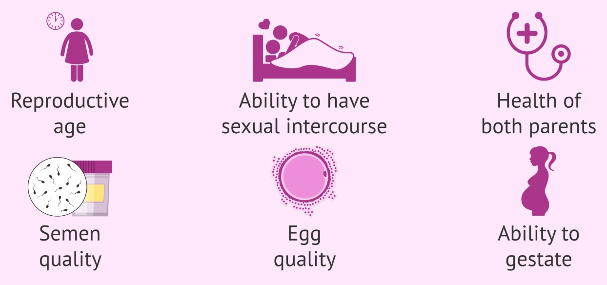 factors affecting fertility factors affecting fertility