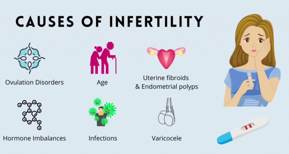 female infertility causes