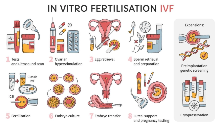 IVF success rates