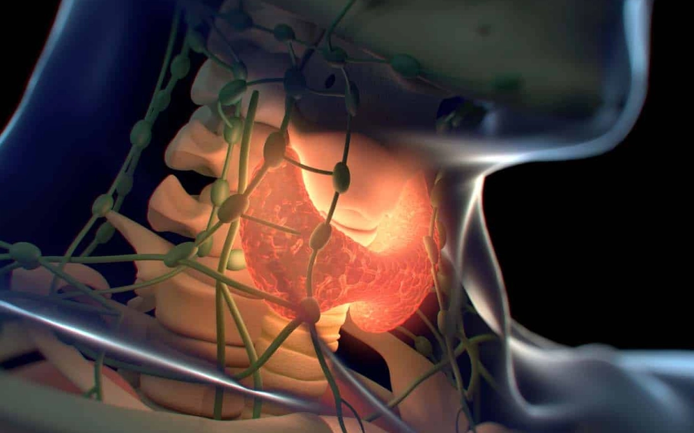 signs of thyroid problems