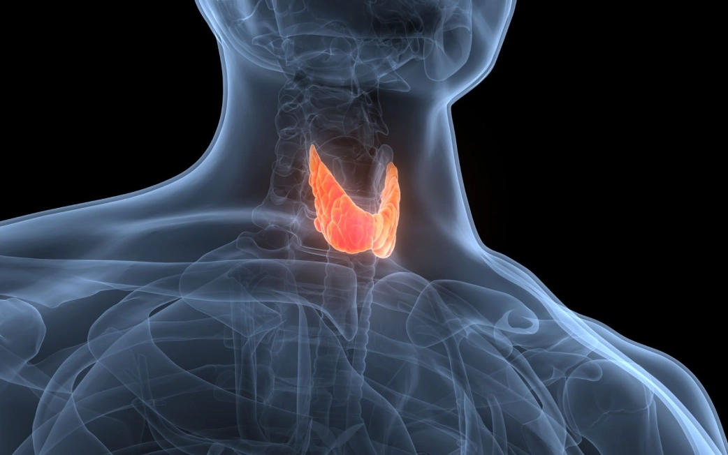 underactive thyroid symptoms