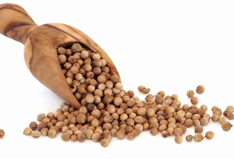 cholesterol diet plan